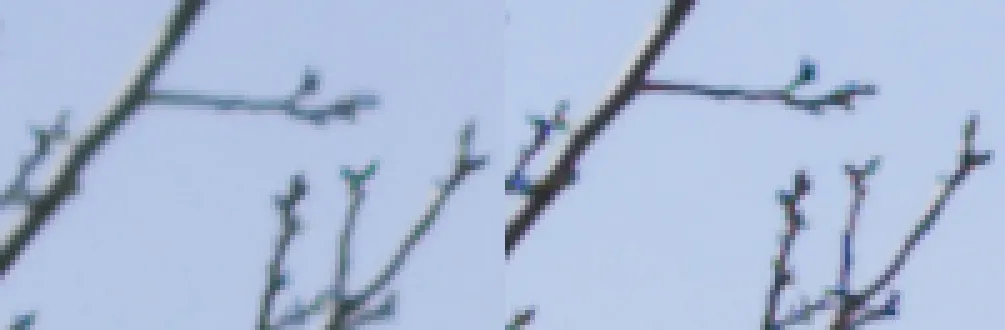 2crops