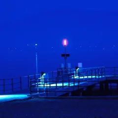 Blue night