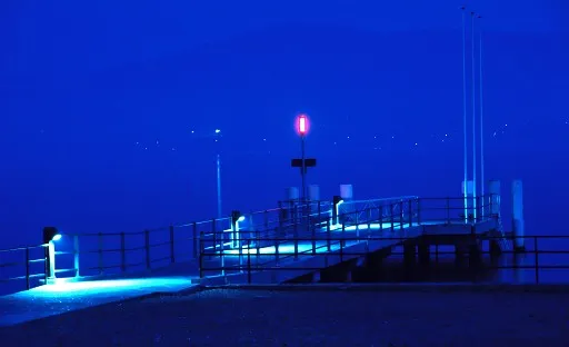 Blue night