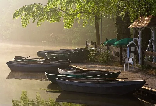 Raw boats in the mist