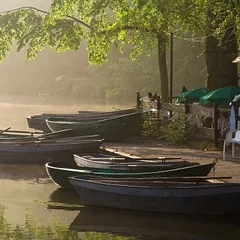 Raw boats in the mist
