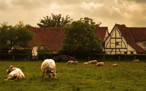Flemish country scene (photograph stylized as an old oil painting)