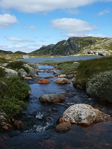 Norwegian landscape