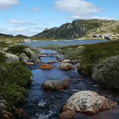 Norwegian landscape