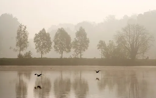 Flight in the mist